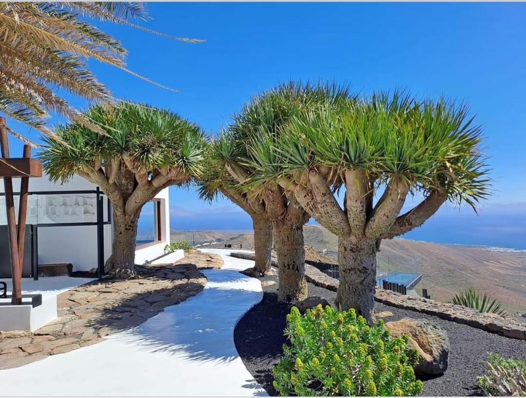 Casa La Tunera, Country House, Haria, Lanzarote Bagian luar foto